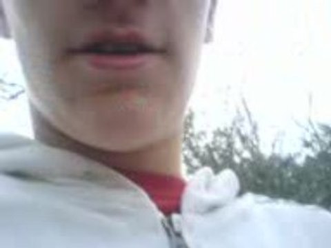 Voyage,Voyage,Voyage