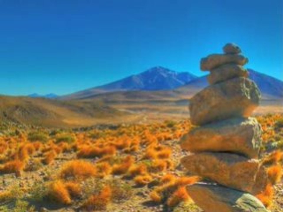 Argentine, Bolivie, Chili 2008