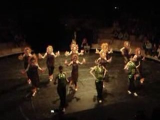 les lions et dompteurs