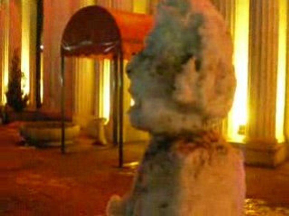 La Bourboule: Rencontre d'un autre type.