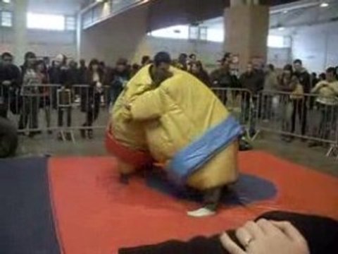 Chibi Japan Expo Sud - Les Sumo =P