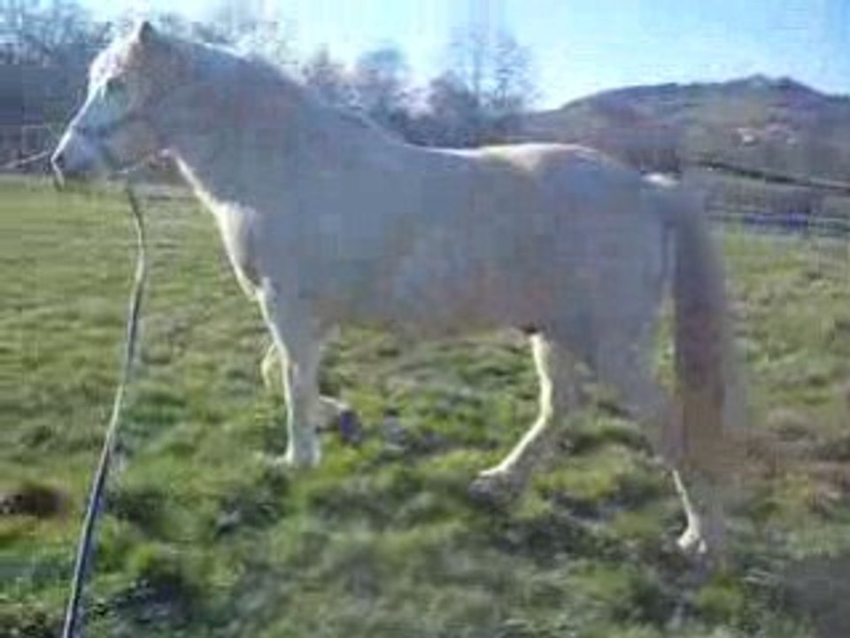 Février 2009 091