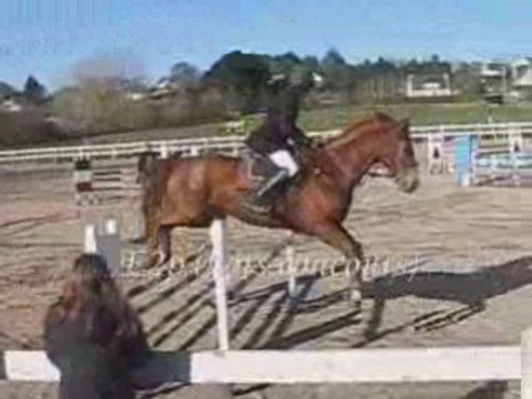 Lonic & Victor CSO Caudan Hors Concours