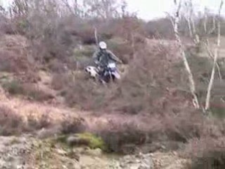 enduro shreck reyou