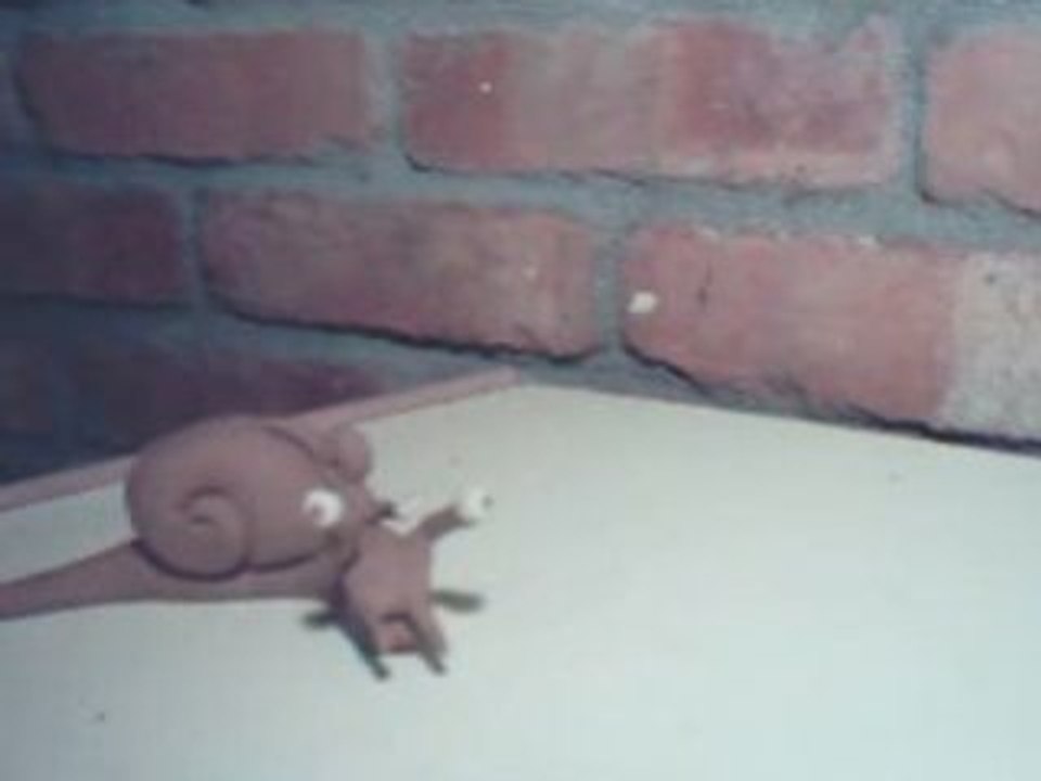 snail