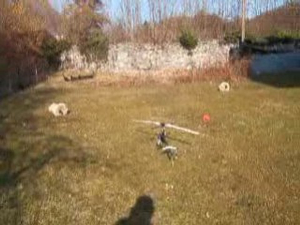 Rodage Caliber 3 au ralenti