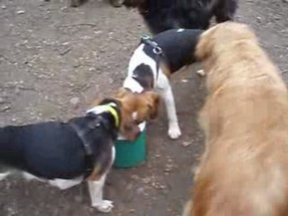 Rencontre Sceaux Fev.09 015