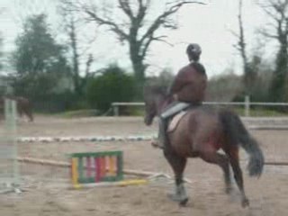 Neza - Stage Olivier C .   3