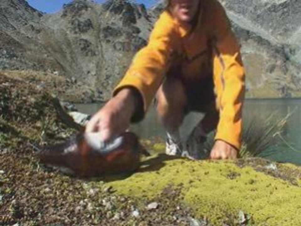 Arian en NZ, episode 16