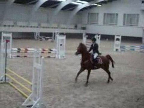 Concours Chevalerie Charlotte/Stellina 70-80