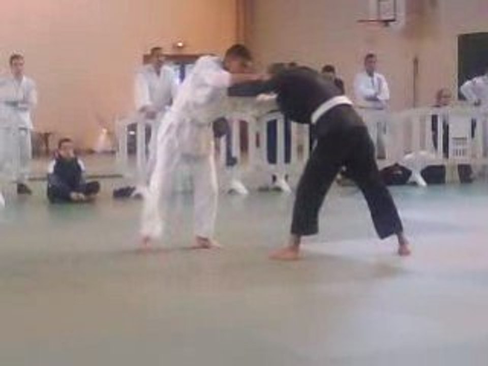 Hamza flying armbar