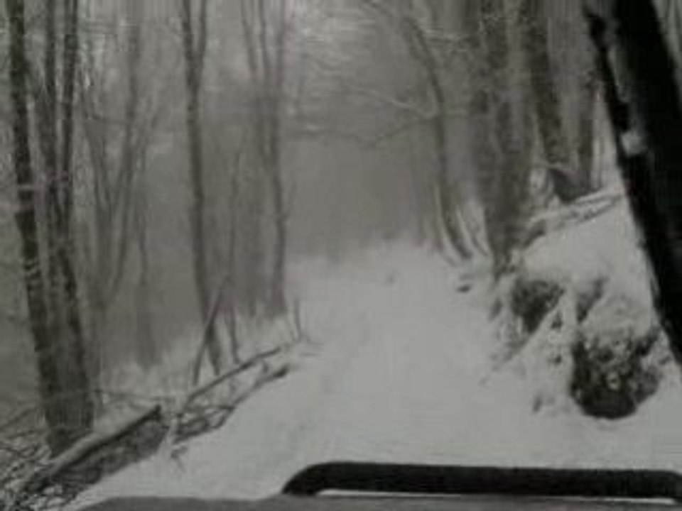 Neige 019