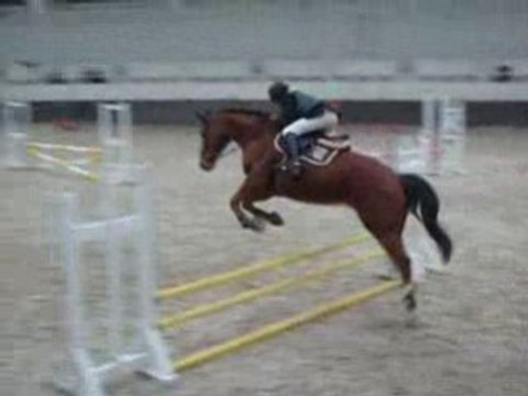 Concours Chevalerie 22.02.09 067