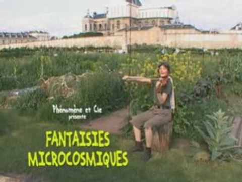 Fantaisies microcosmiques BA mp4 108Mo