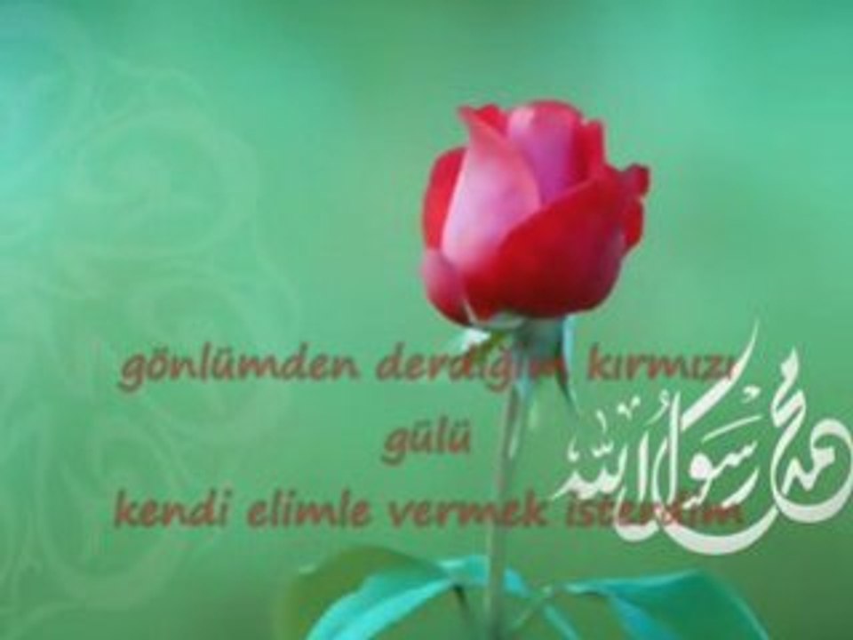 Sahipsiz Güller-Taha