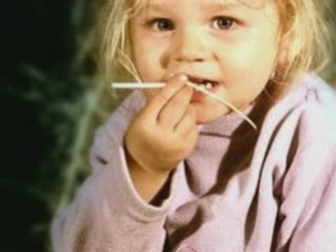 SAINT PONS DE THOMIERES FETE DU COCHON 22.02.2009-