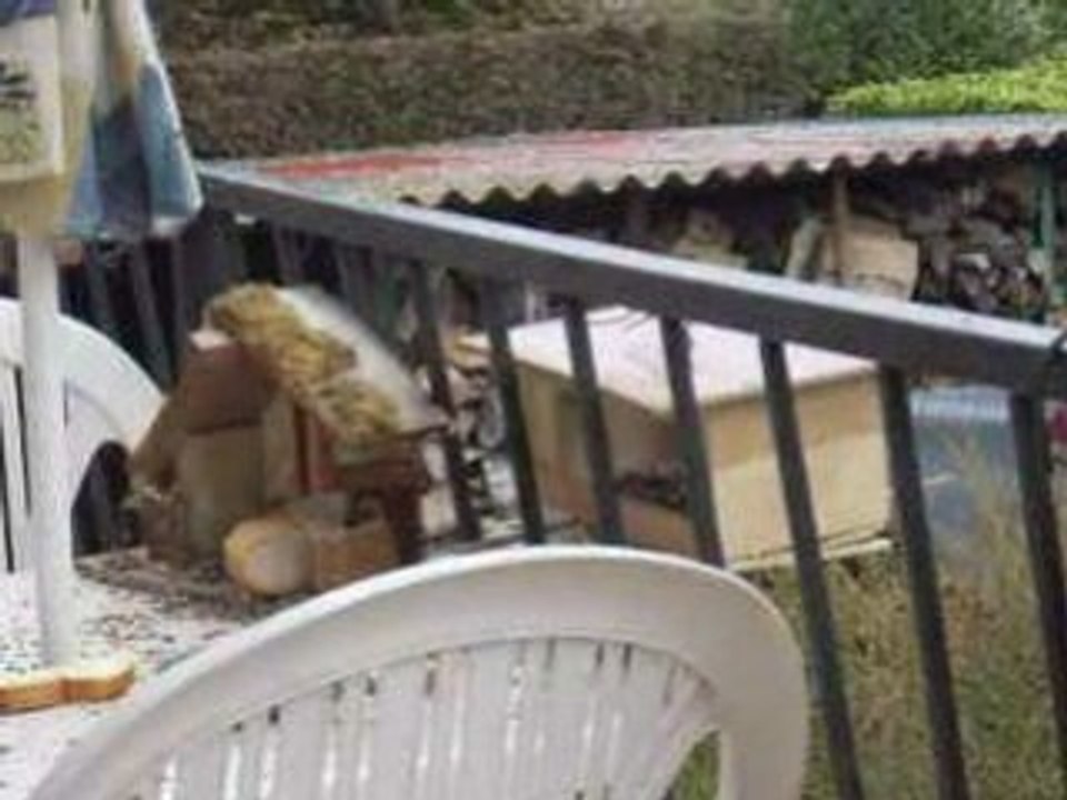 DSCN1181