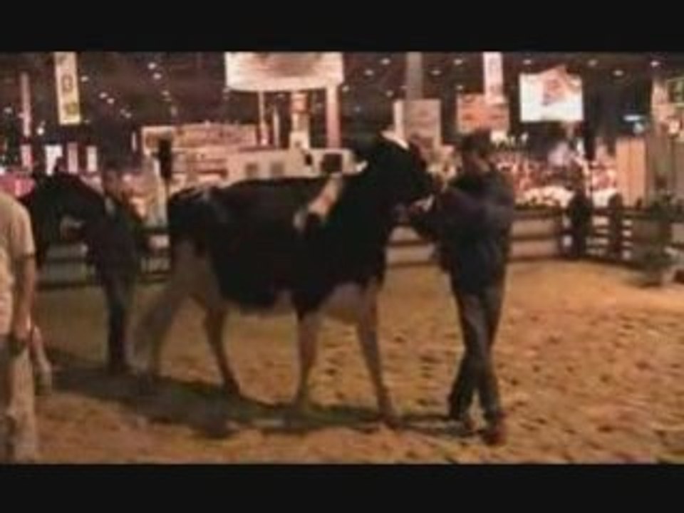 Petits pas dans le ring