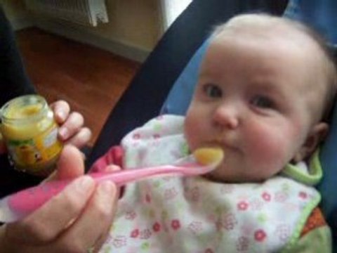 1eres cuillères de compote