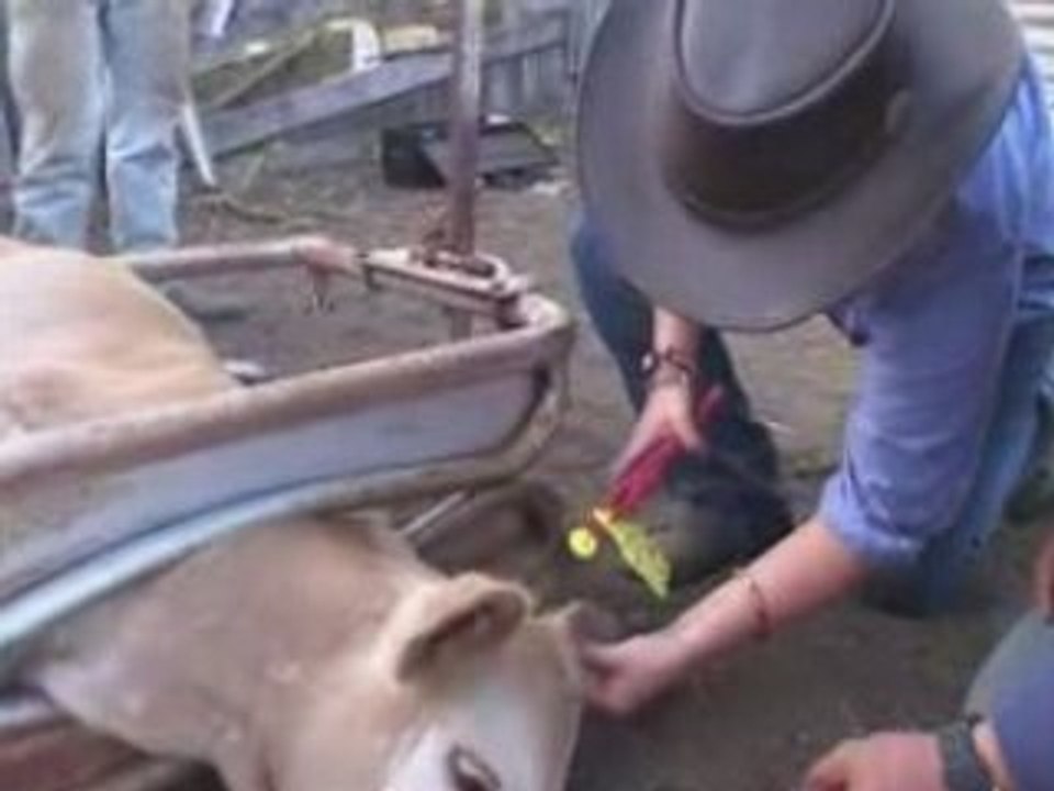 Realgap Australia Outback Ranch