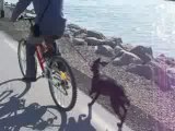 Nala fait du vélo