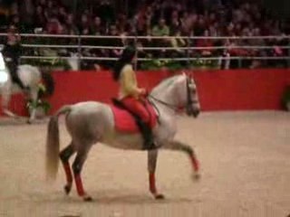 Dressage artistique Salon du Cheval 2009