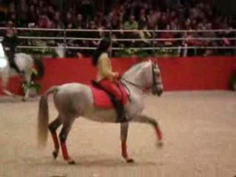 Dressage artistique Salon du Cheval 2009