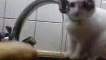 Zoé douche au robinet