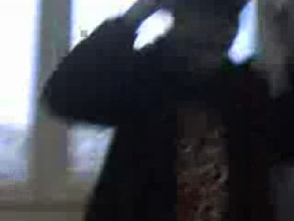 PaulSchols derniere :'(