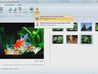 Windows Live Movie Maker