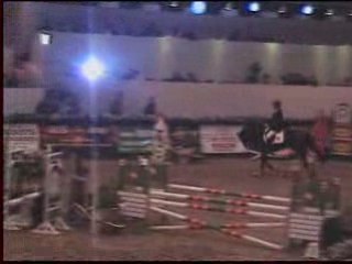 Caballo Parcours New Azelhof Lier 20022009