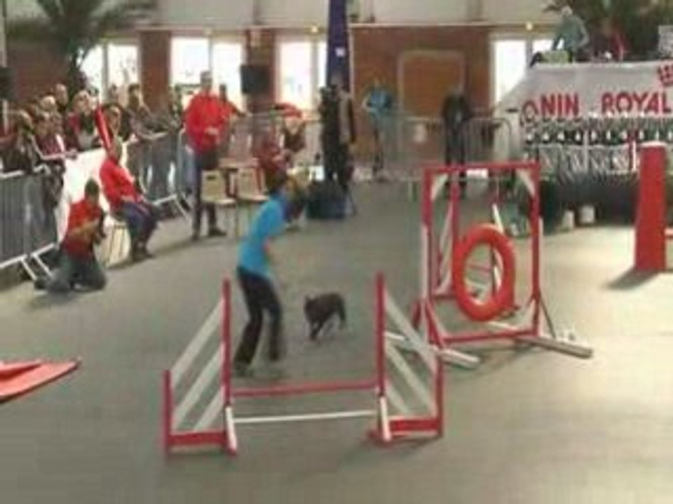Vodka-jumping Inter-régionale de Lisieux