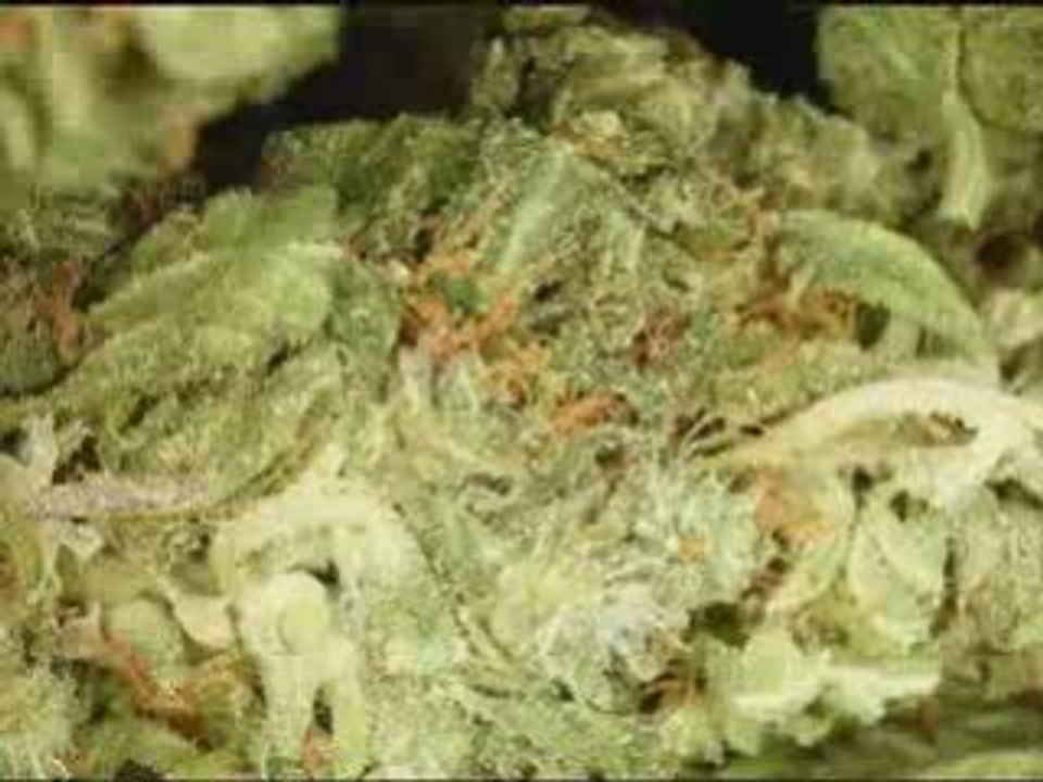 Odd News - myinboxnews.com