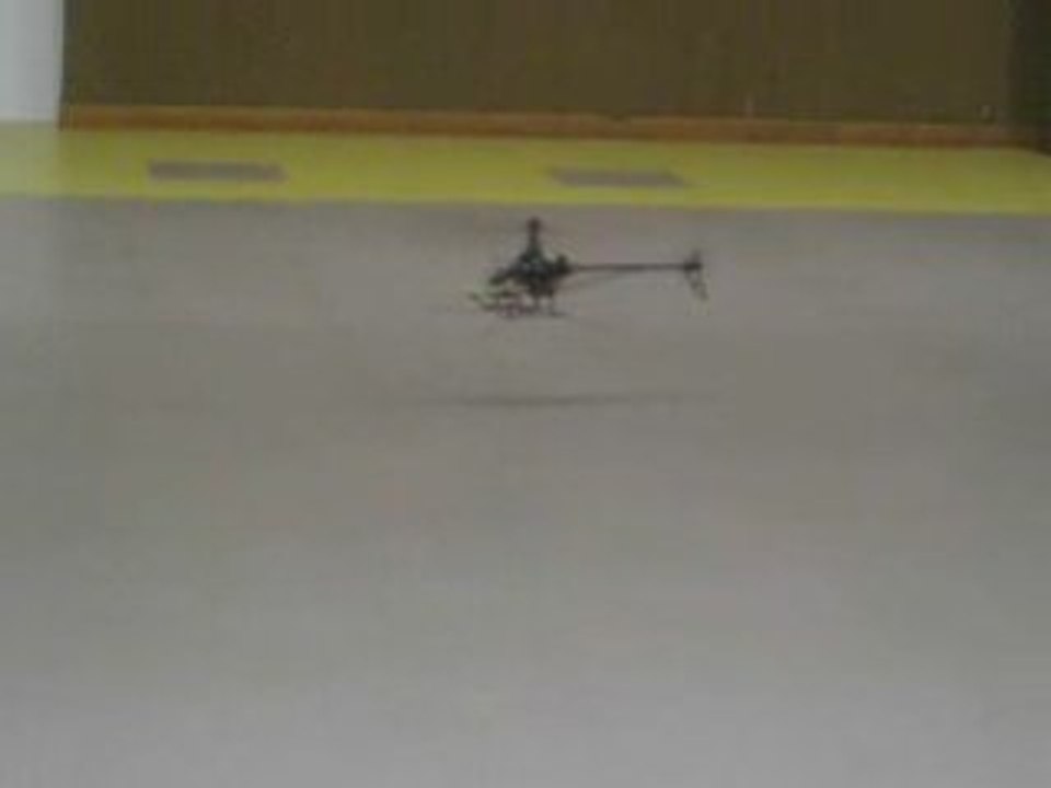 Sacha premier vol belt CP