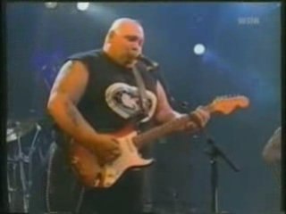 Popa Chubby - You Got To Love Somebody