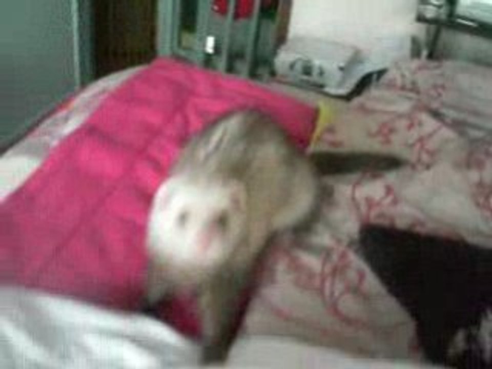 Dickson et le peignoir