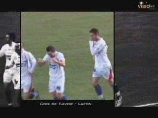 les buts du week-end du 21/02/09