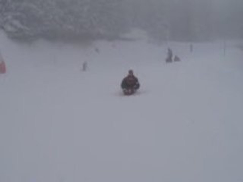 Février 2009 - Luge et brouillard