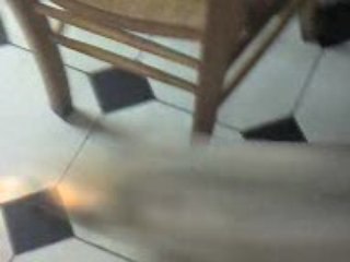 carlin cours après la lumiere