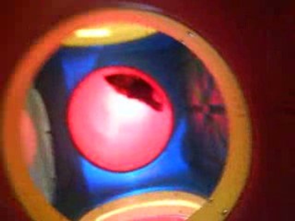 macdo (2)
