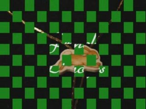 Irish China Belleek Porcelain Shamrock Jewelry for St.Pat's