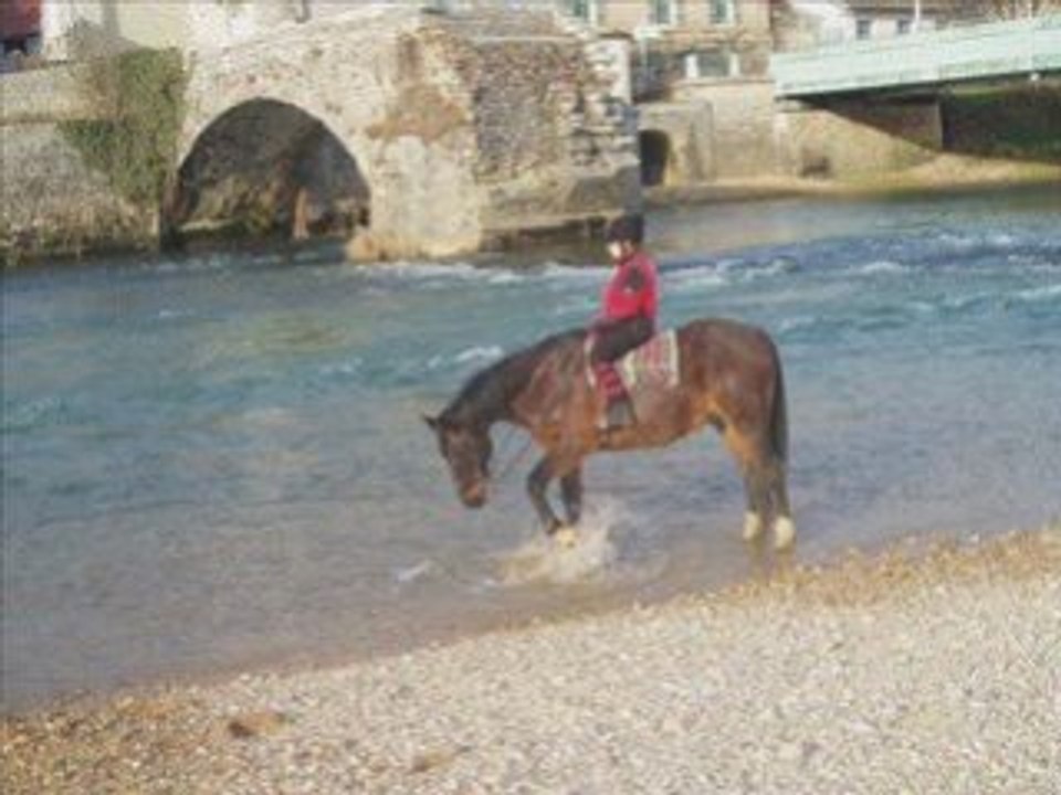 21.02.09-ballade à cheval