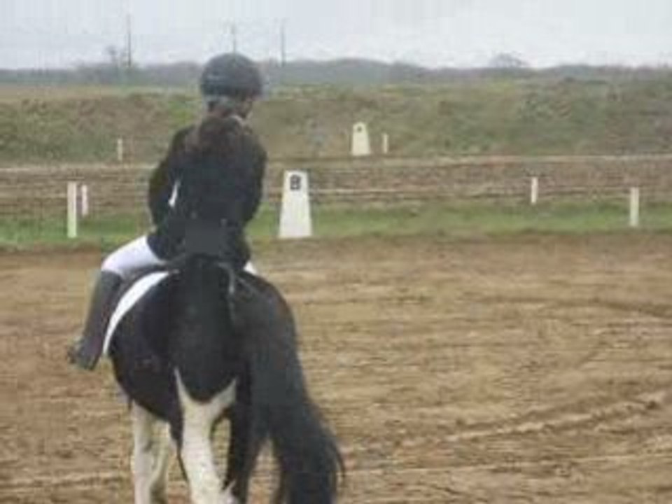 ChallengeTemplier 2009 02 22 Dressage
