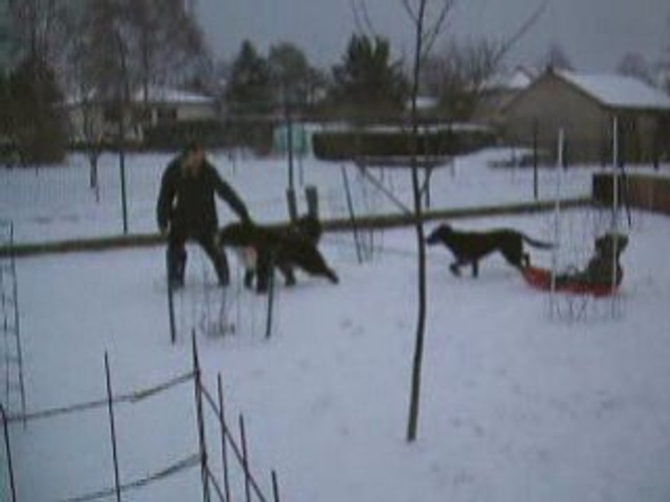neige de février7