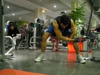 oiseaux un bras poulie