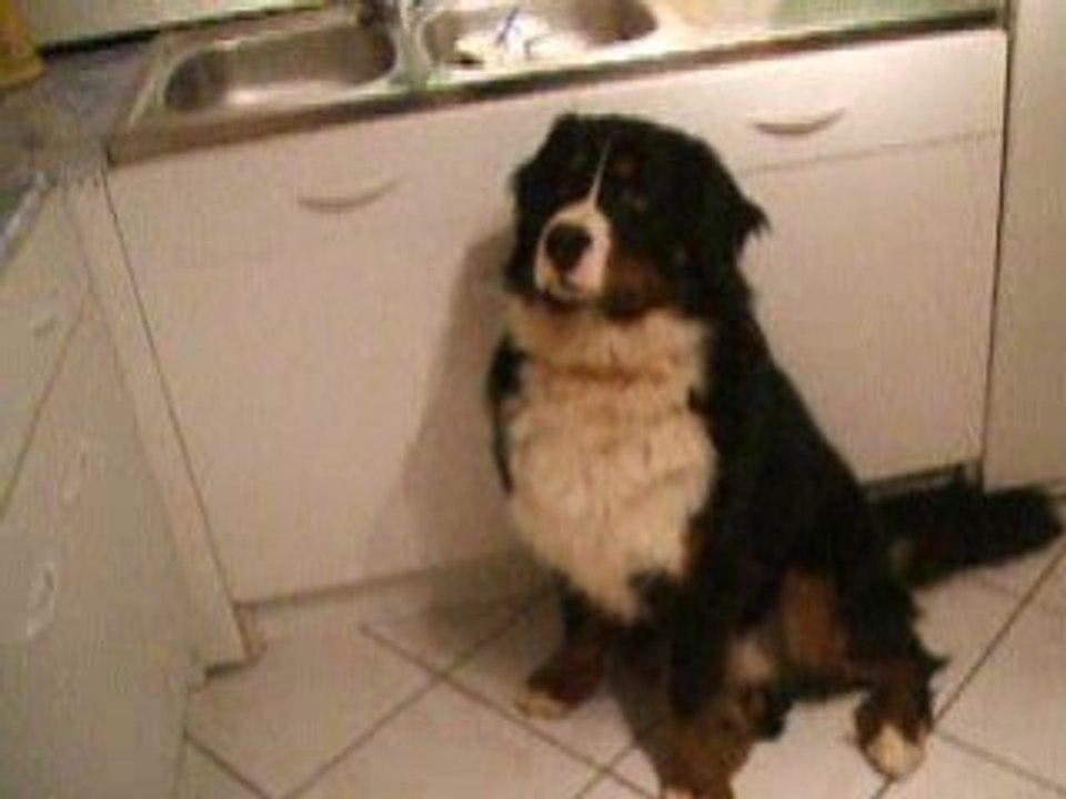 les zamours a la cuisine4