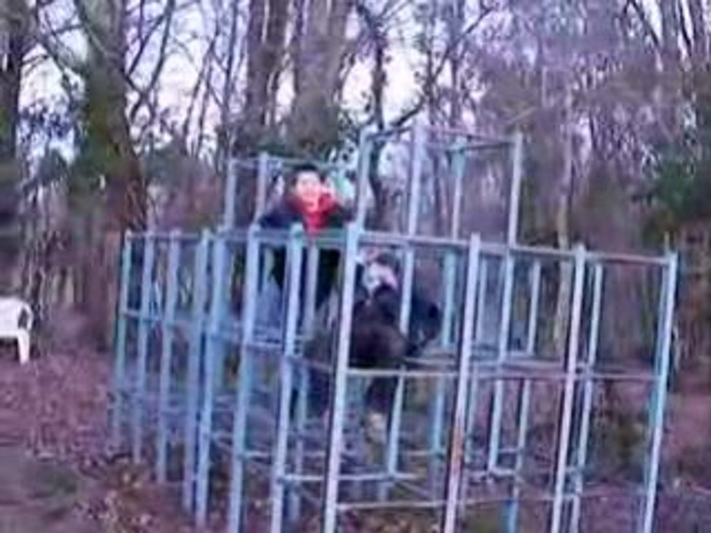 Les Cages à poule de notre enfance - Vidéo Dailymotion