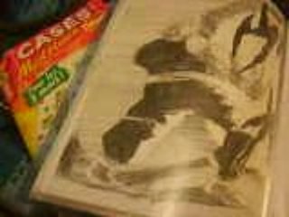 quelques dessins