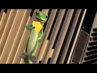 Its the gecko