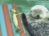 Otters holding hands, and a Gecko